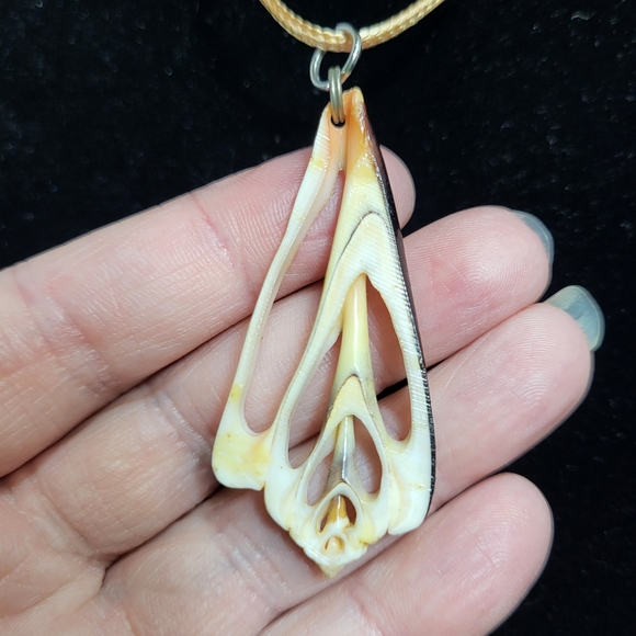 Vintage Natural Sea Shell Slice Necklace Pendant - Picture 4 of 14